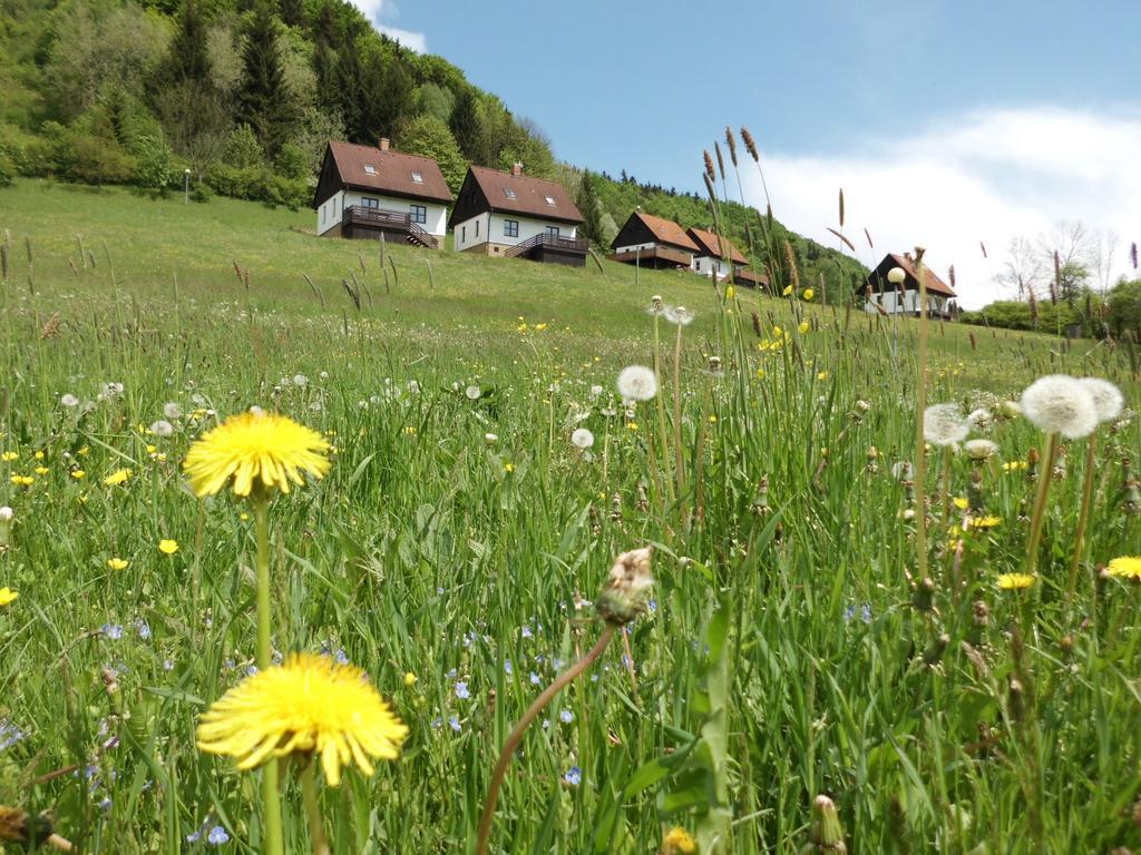 Green Valley Park Villa Stárkov Екстериор снимка