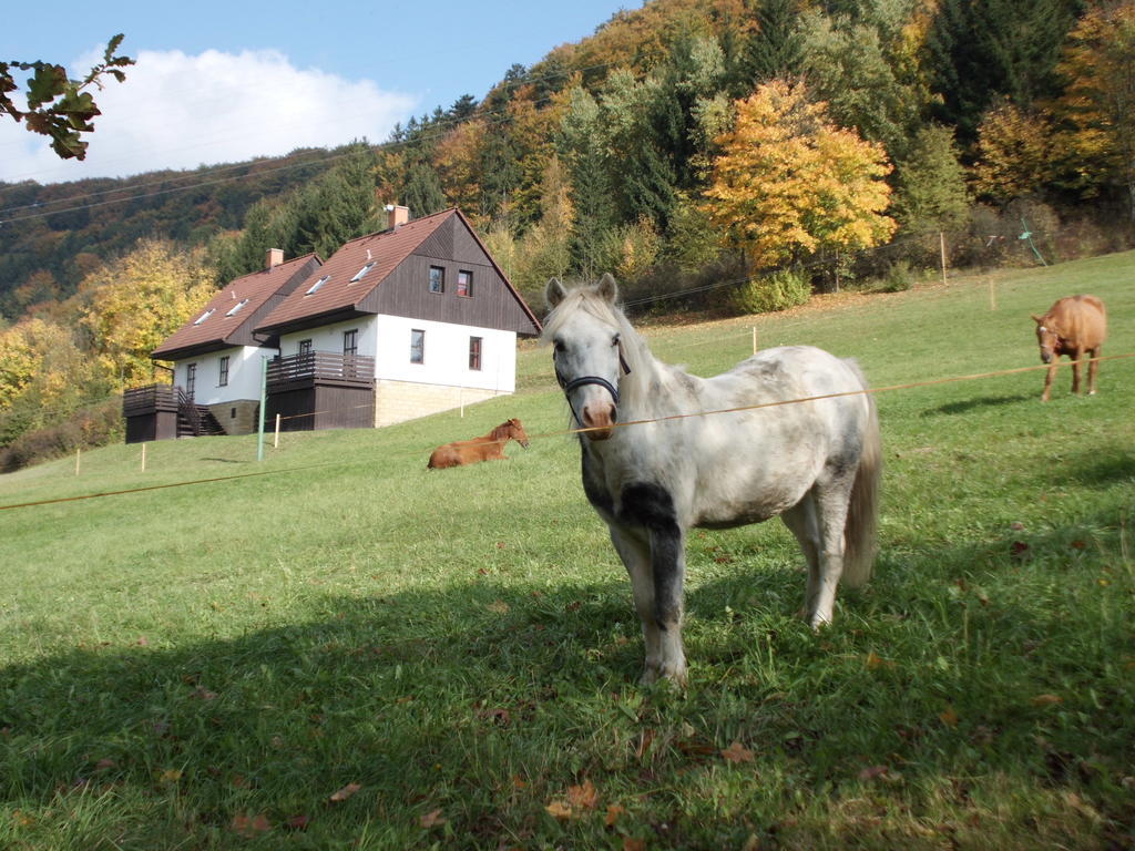 Green Valley Park Villa Stárkov Екстериор снимка