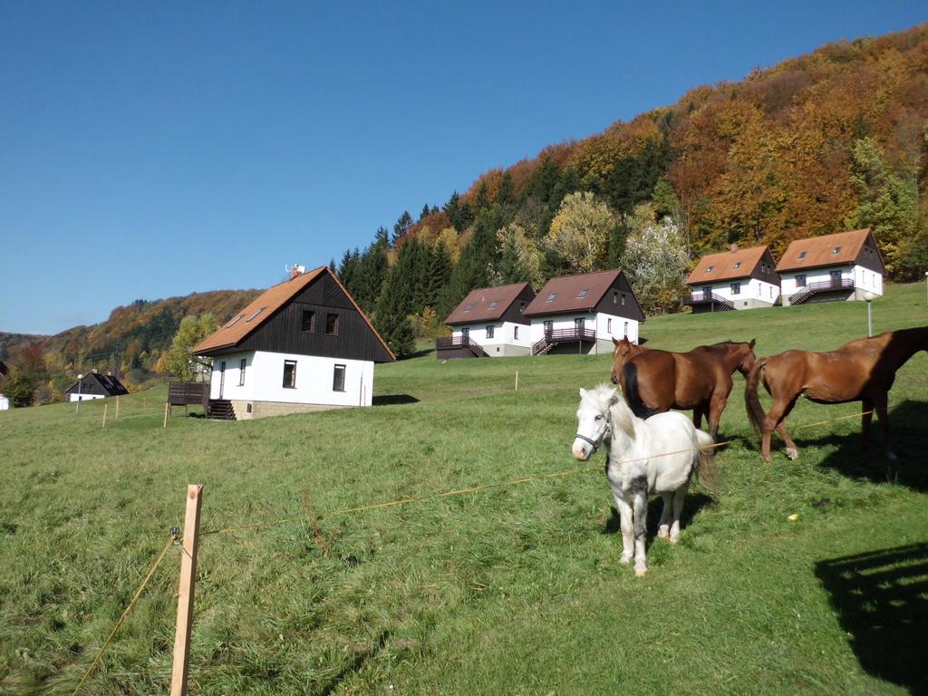 Green Valley Park Villa Stárkov Екстериор снимка