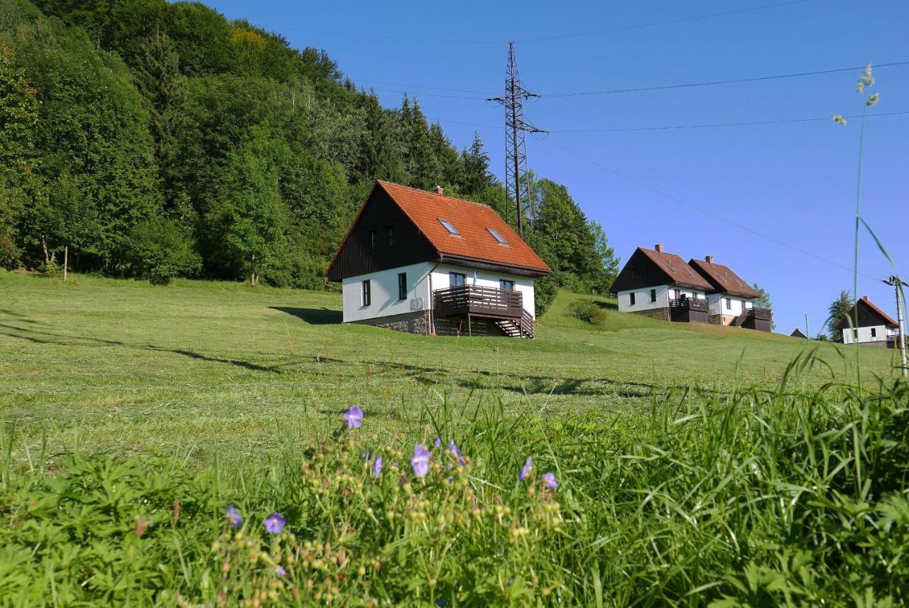 Green Valley Park Villa Stárkov Екстериор снимка