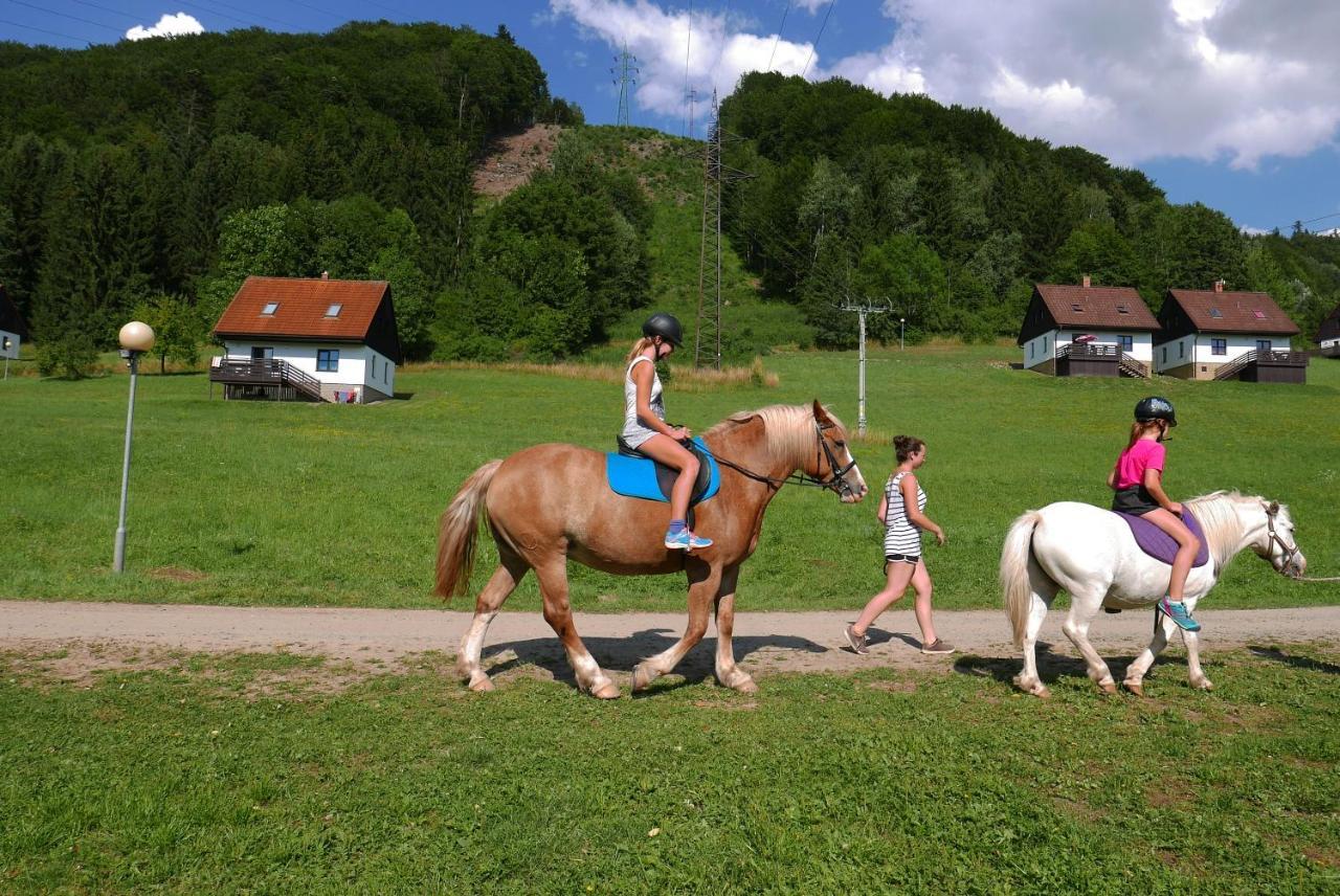 Green Valley Park Villa Stárkov Екстериор снимка